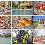 Sa Vinya Des Convent Agroturismo