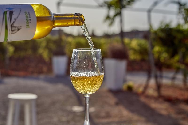 Sa Vinya Des Convent 4* Inca (Mallorca)